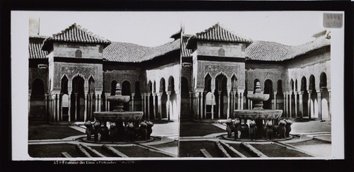 Stereoview traghetti scarpe - stereoview,,