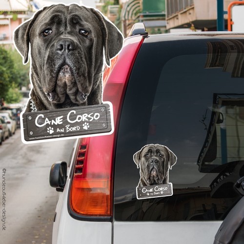 Cane corso bordo adesivi - a,