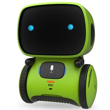 Robot Intelligente Interattivo