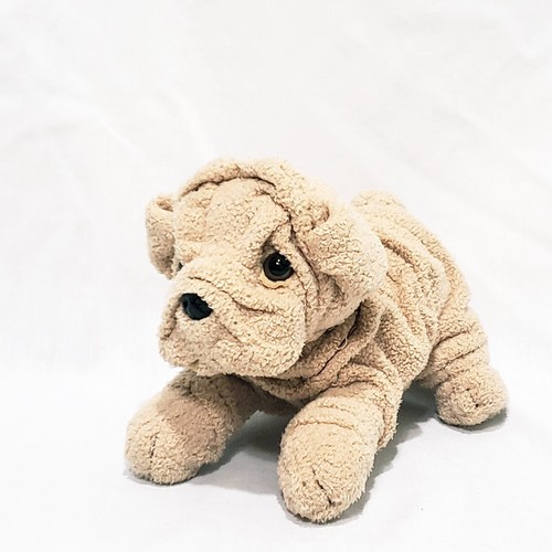 Bulldog cane rugoso - bulldog,