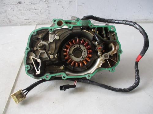 Carter magnete statore - magnete,
