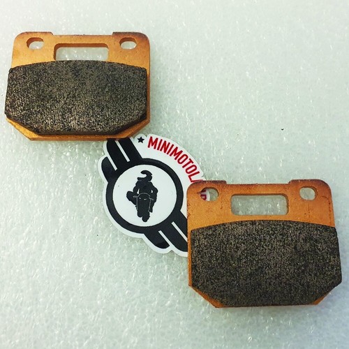 Coppia pastiglie freno pitbike - coppia,