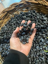 Bacche di Mirto Sardo