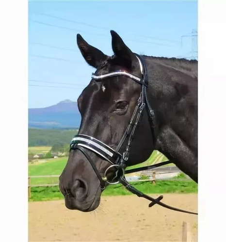 Briglia dressage pelle e - dressage,