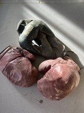 Set sparring palestra Everlast