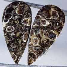 Coppia fossili di agata