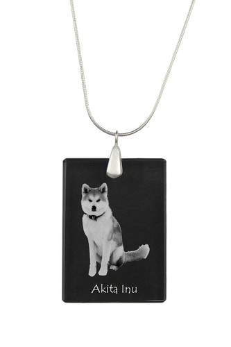 Akita inu - akita,