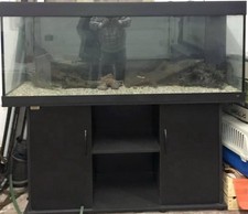 Acquario Juwel Rio 400 litri