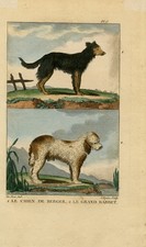 Stampa antica-Cani-Il