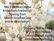 Gozzo di piccione erba colla