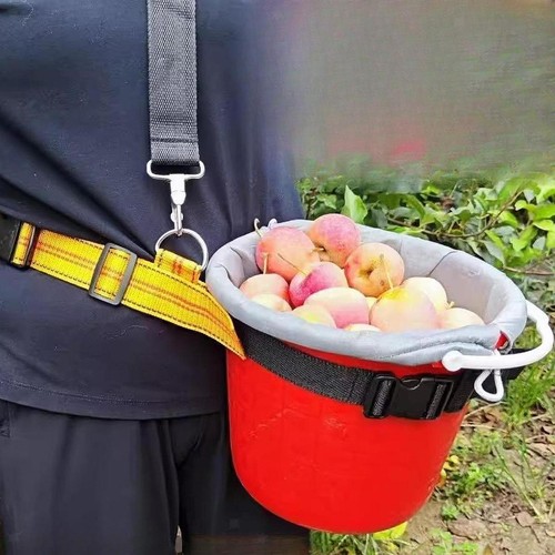 Borsa raccolta della - borsa,