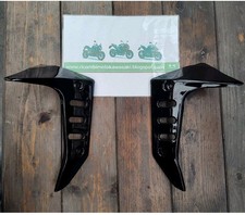 FIANCHETTI RADIATORE FAIRING