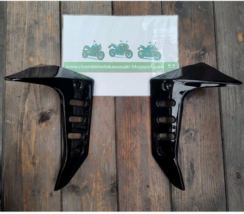 Fianchetti radiatore fairing - fianchetti,