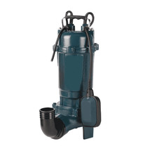 Elettropompa 1 Hp sommersa