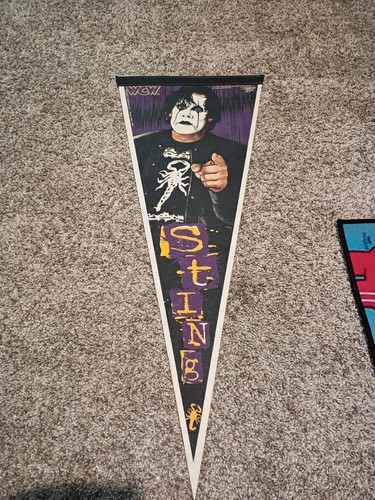 Pennant wrestling vintage - da,