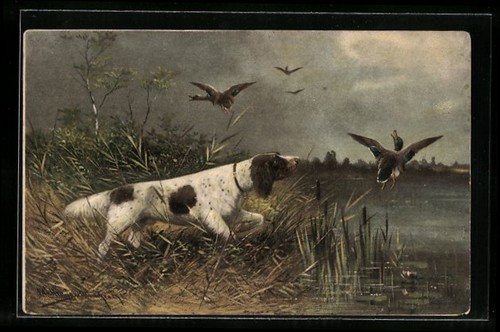 Cartolina artista müller - cartolina, m.