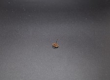 REPLACEMENT PART ORIGINAL