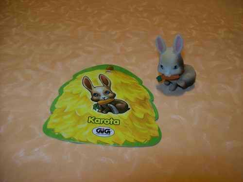 Mini coniglio nome - nome, karota