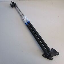 Pistoncini baule portellone