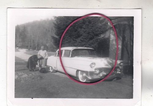 Foto auto - foto,