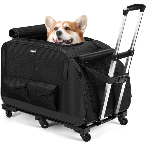Pecute passeggino per animali - pecute,