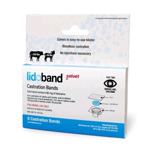 Lidoband singolo nuovo - singolo, *nuovo*