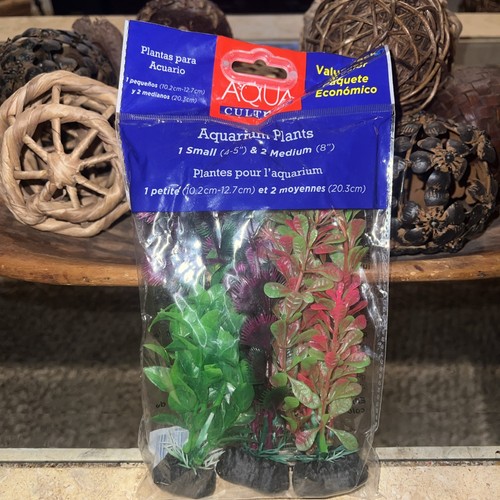 Piante per acquario - piante,