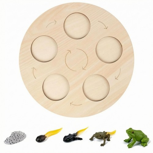 Gioco abbinamento cicli - gioco,