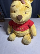 Disney Winnie The Pooh Plush