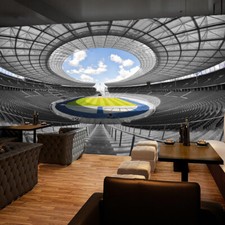 3D Stadium 31070NA Business