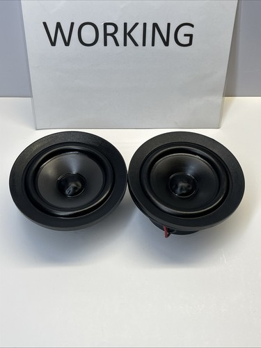 Coppia driver altoparlanti