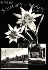 SAN GIACOMO di ANDRATE, Torino - Saluti, Vedutine - Campo di Bocce - NV - #073