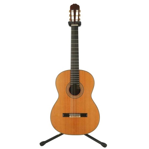 Takamine chitarra - takamine,