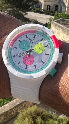 Orol swatch crono white - crono, horses