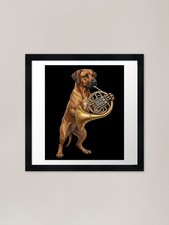 Rhodesian Ridgeback che gioca