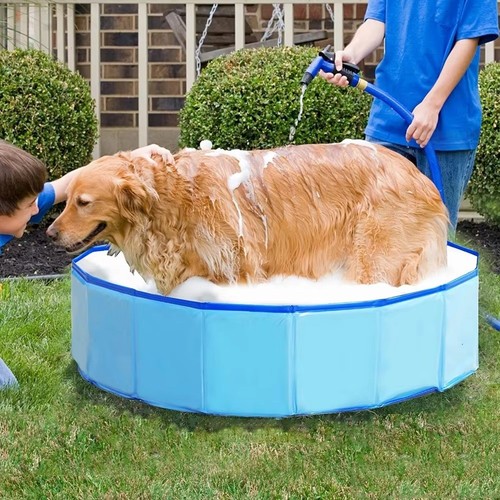 Piscina per cani pieghevole - per,