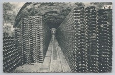 Casa Codorniu Cava Wine Cellar