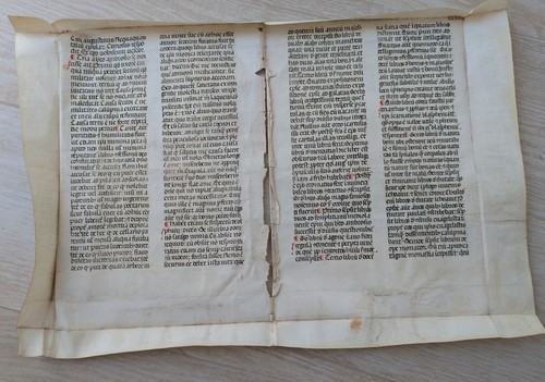Foglio antico secolo - xv,