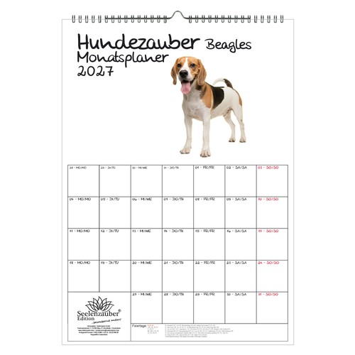 Magia per cani beagles - magia,