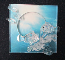 Swarovski Crystal Wonders of