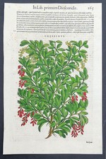 Stampa antica 1565 pietro