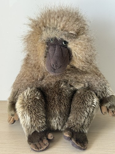 Born africa wild baboon - africa,