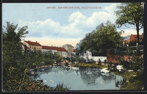 Erfurt riva della - riva, certosa