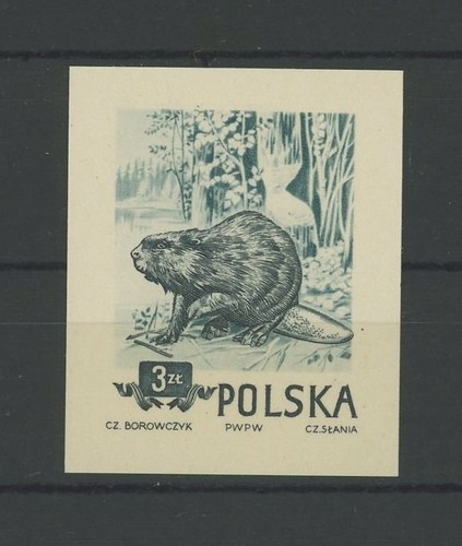 Polonia animali 1954 - 1954, prova