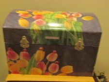 Anne Geddes Trunk Box