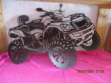  Goes Quad modello in acciaio