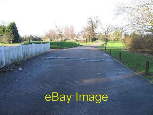 Photo 6x4 bush - 6x4, golf