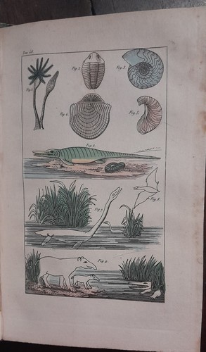 Storia naturale compendio - storia,