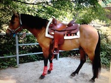 sella da reining tex tan 16