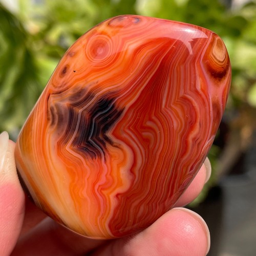 50g piccolo pizzo seta - piccolo,